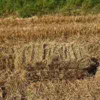 پرس کاه برنج سایز بزرگ
