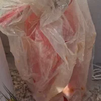 لوازم برقی و ایمنی|حراج|شاهین‌شهر, شیخ بهایی|دیوار