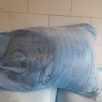 ارد کیسه ابی