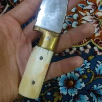 چاقو دسته استخونی|کوهنوردی و کمپینگ|تهران, خزانه|دیوار