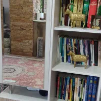 کتابخانه|کتابخانه، شلف، قفسه‌های دیواری|کرج, شهرک فهمیده|دیوار