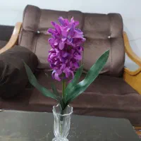 گل مصنوعی|گل مصنوعی|پیر بکران, |دیوار