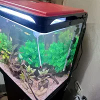 اکواریم کمری مدل Q