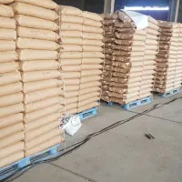 بذر ذرت مغان ۷۰۴