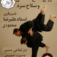 آموزش تخصصی دفاع شخصی وسلاح سرد
