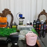 آکواریوم|ماهی|پرند, فاز ۶|دیوار