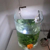 آکواریوم استوانه