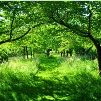 زمین 1088متر در برزک کاشان با آب