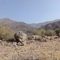 کوداوره.وپتاس سنگی