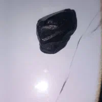 شهاب سنک|کلکسیون اشیاء عتیقه|لواسان, |دیوار