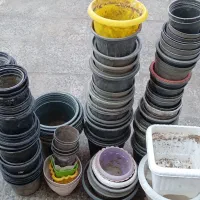 تعدادی گلدان کارکرده سالم|گل و گیاه طبیعی|رودسر, |دیوار