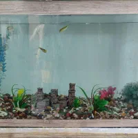 آکواریوم معاوضه با پرنده قفسی|ماهی|مشهد, امیریه|دیوار