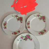 تعدادی ظرف و گل سرخی|ظروف سرو و پذیرایی|تبریز, |دیوار