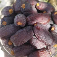 خرما مج.ول درجه ۱ درشت شهرستان جم|خوردنی و آشامیدنی|رشت, دیلمان|دیوار