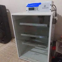 دستگاه جوجه کشی ۱۲۶تایی فول اتومات|ماشینآلات صنعتی|گنبد کاووس, |دیوار