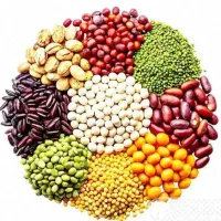 خرید حبوبات مستقیم از کشاورز