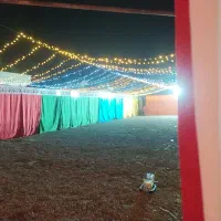 ریسه آرایی ماهور|ریسه و چراغ تزئینی|میناب, |دیوار