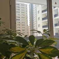آپارتمان