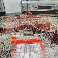 قفس پرنده در حد نو با لوازم کامل