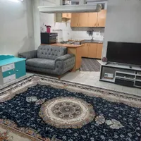 اجاره آپارتمان ۵۵ متری ۱ خوابه در خزانه