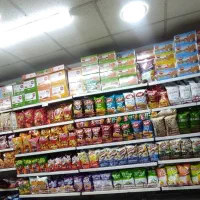 صندوقدار چیدمان کارگر انبار