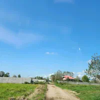 فروش فوری ۵۳۰ متری در بازکیاگوراب به دلیل مهاجرت|فروش زمین و ملک کلنگی|لاهیجان, بازکیاگوراب|دیوار