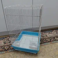 قفس کاسکویی ۱۰۳۳