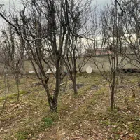 ۱۱۰۰ متر ۷۰ متر بنا با مجوز دو کله کردان کوهسار|فروش خانه و ویلا|کوهسار (البرز), |دیوار