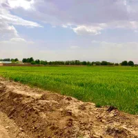 باغچه در متراژ مختلف فول امکانات ۵۰درصد پیش پرداخت|فروش زمین و ملک کلنگی|پرند, فاز ۲|دیوار