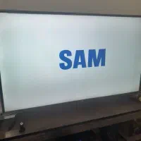 تلویزیون