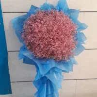 دسته گل ژیپسوفیلا|گل و گیاه طبیعی|چهاردانگه (تهران), |دیوار