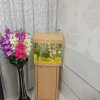 اکواریوم شرکتی یامی|ماهی|شیراز, شهرک رضوان|دیوار