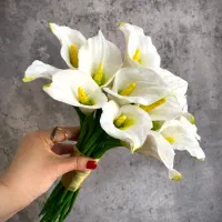 دسته گل شیپوری عروس