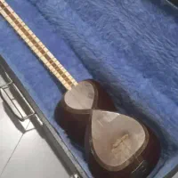 تار|سازهای سنتی|اصفهان, بهارستان|دیوار