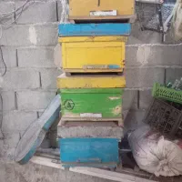 قوطی زنبور داری