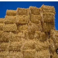 پخل گندم پرس شده