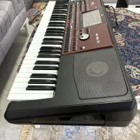 ارگ پیا 700 اورینتال|پیانو، کیبورد، آکاردئون|دوگنبدان, |دیوار