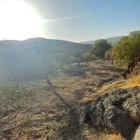 فروش باغ سنجگان