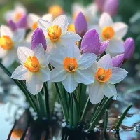 رهن ویلایی ایطویل