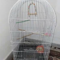 قفس بزرگ طوطی