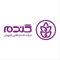 اعطای نمایندگی فروشگاههای زنجیرهای گندم