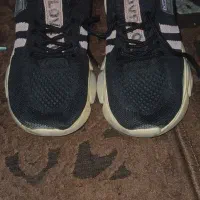 کفش و کتونی|کیف، کفش، کمربند|پرند, فاز ۲|دیوار