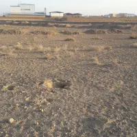 یک قطع زمین به مساحت ۱۲۵۰۰متر