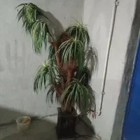 درختچه مصنوعی