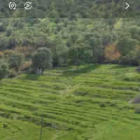 ویلا اجاره ای در دل طبیعت