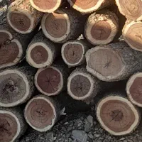 زغال|عمدهفروشی|کشکوئیه, |دیوار