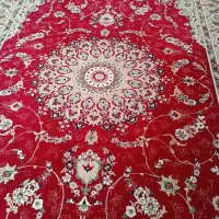 فرش دوازده متری|فرش|ساوه, |دیوار