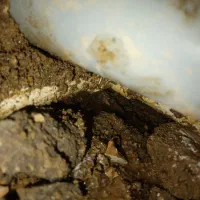 نشت یابی تشخصی ترکیدگی با دستگاههای پیشرفته