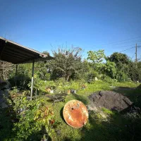 فروش زمین ۳۶۰ متری با بنا ۷۵ متری احداثی|فروش خانه و ویلا|خرم‌آباد (تنکابن), |دیوار