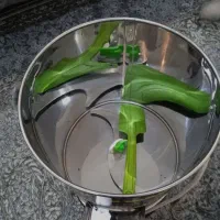 سبزی خردکن|خردکن، آسیاب، غذاساز|شهریار, شهریار|دیوار